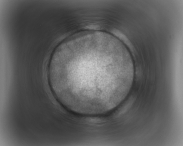 X0000088720529200706282105