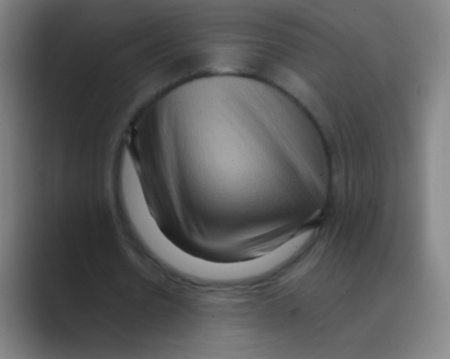 X0000088720530200706282105