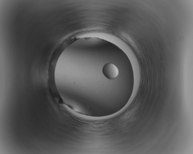 X0000088720532200706282105