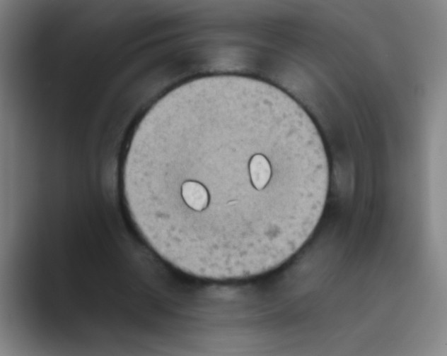 X0000088720534200706282105