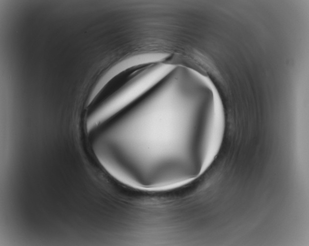 X0000088720538200706282105