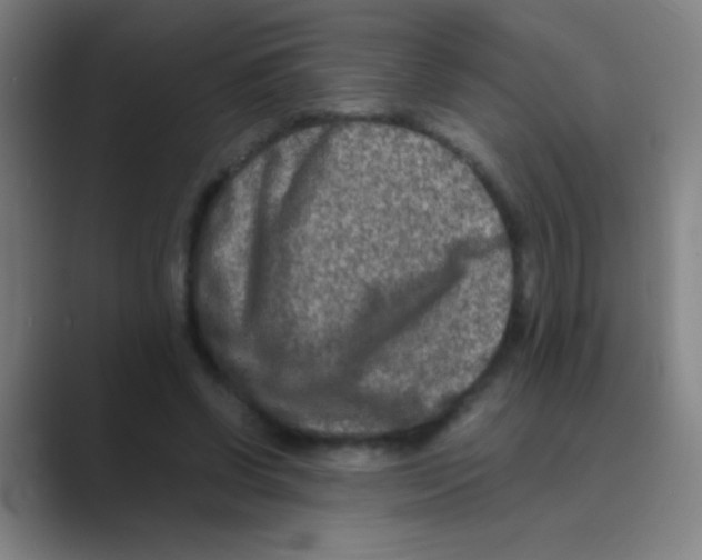 X0000088720542200706282105