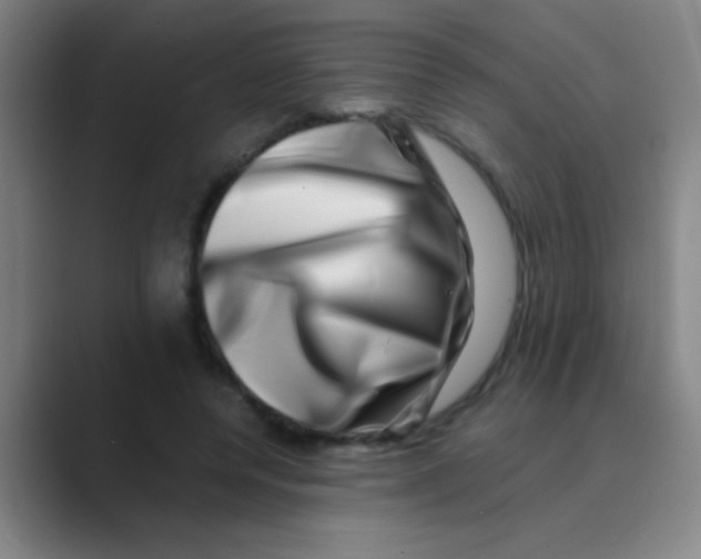 X0000088720544200706282106