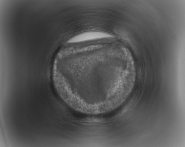 X0000088720545200706282106