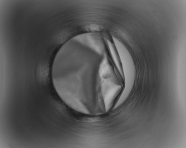 X0000088720548200706282106