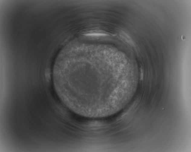 X0000088720549200706282106