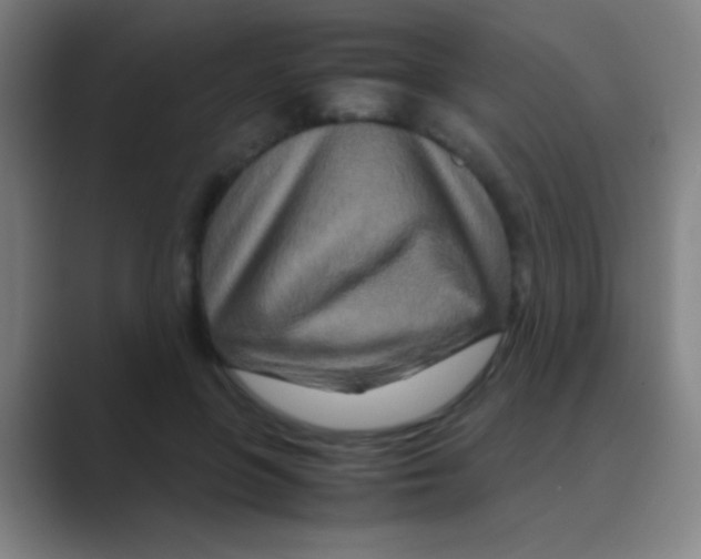 X0000088720551200706282106