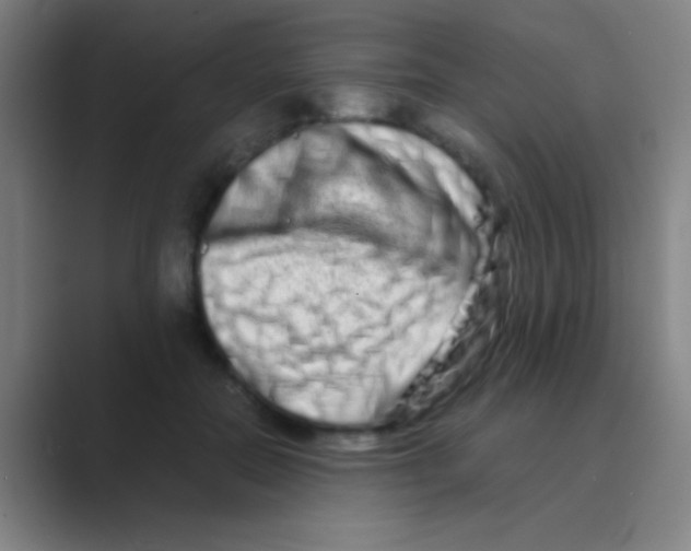 X0000088720554200706282106