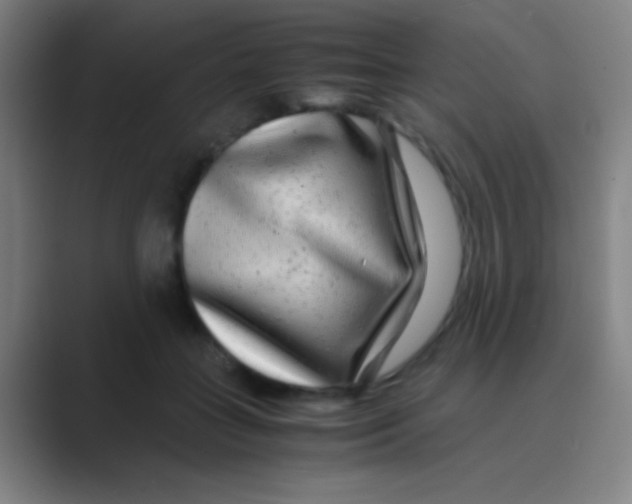 X0000088720555200706282106