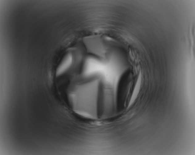 X0000088720558200706282106