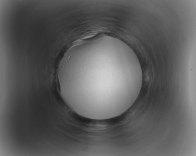 X0000088720559200706282106