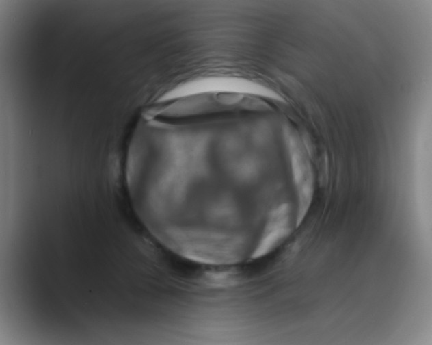 X0000088720560200706282106