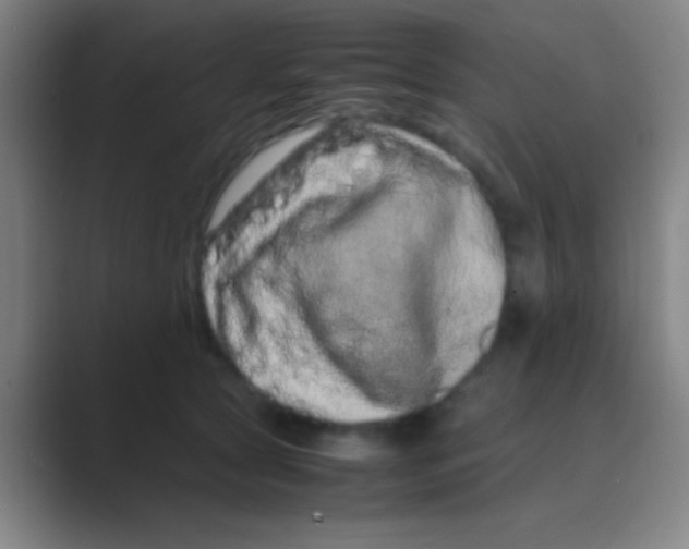 X0000088720561200706282106