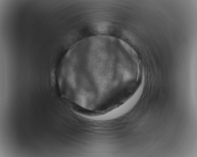 X0000088720562200706282106