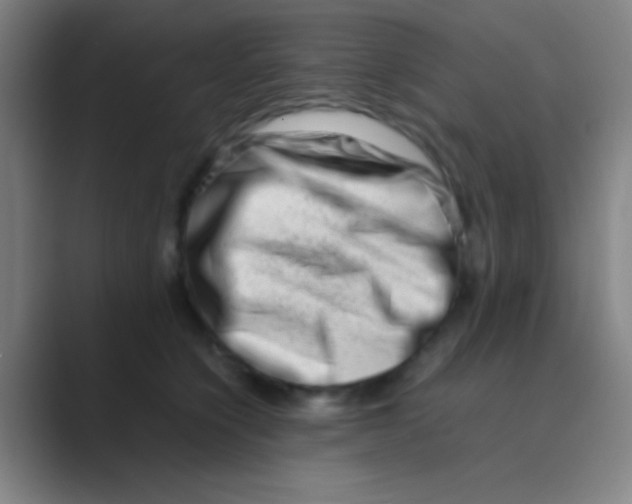 X0000088720564200706282106