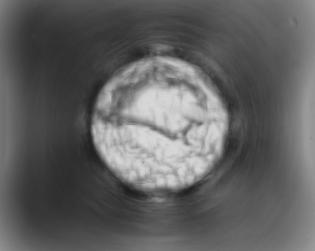 X0000088720565200706282106