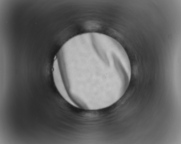 X0000088720567200706282106