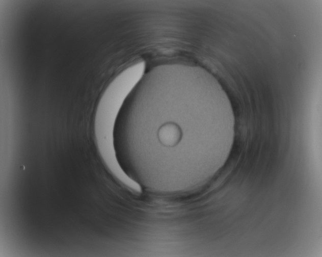 X0000088720568200706282106