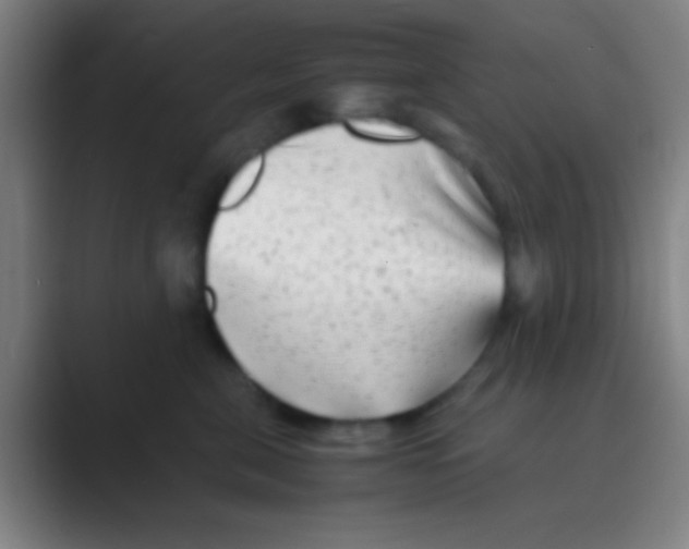 X0000088720571200706282106