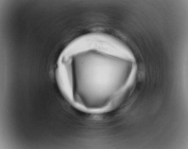 X0000088720573200706282106