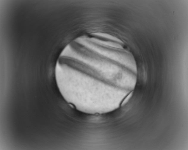 X0000088720574200706282106