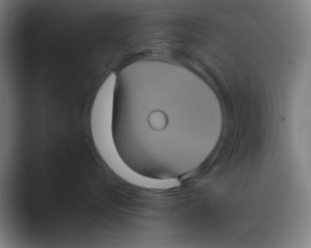 X0000088720576200706282106