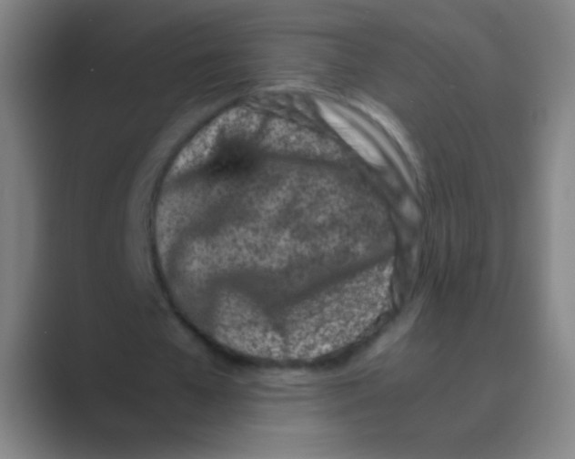 X0000088720577200706282105