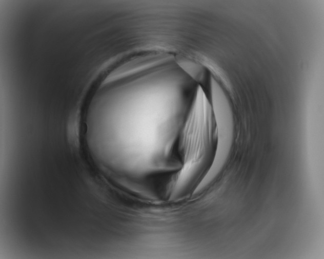 X0000088720580200706282105