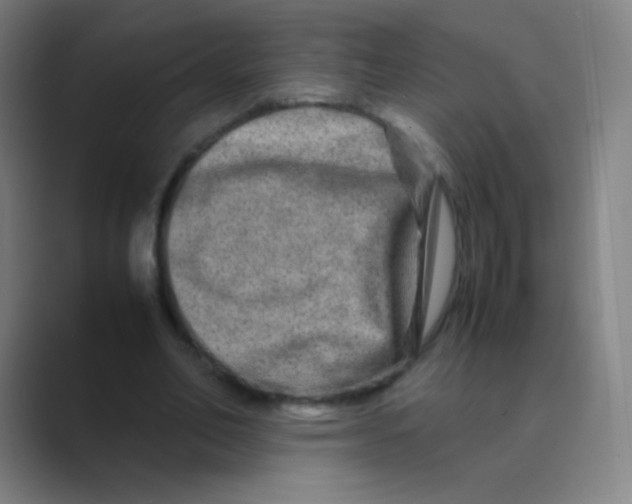 X0000088720582200706282105