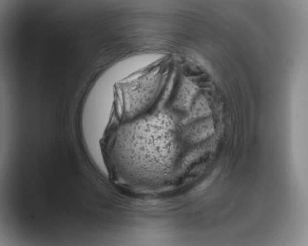 X0000088720589200706282105