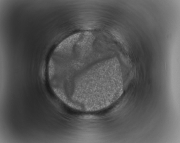 X0000088720590200706282105