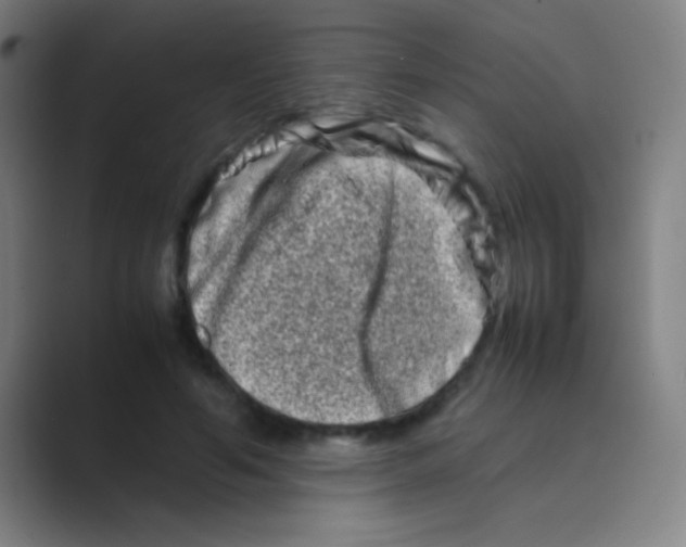 X0000088720594200706282105