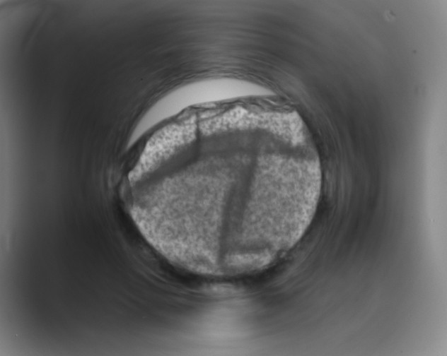 X0000088720598200706282105