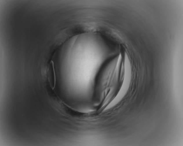 X0000088720601200706282105