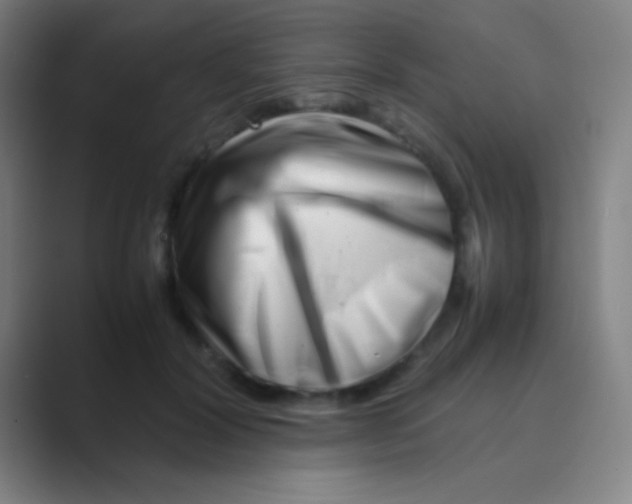 X0000088720604200706282105