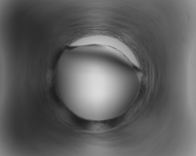 X0000088720605200706282105