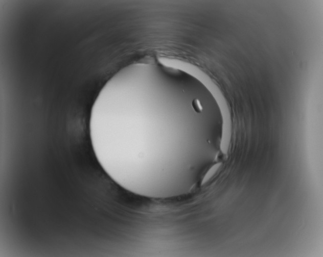 X0000088720608200706282105