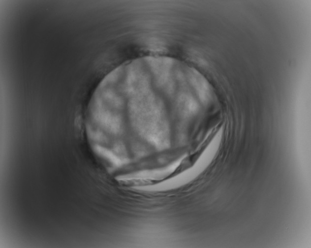 X0000088720609200706282105