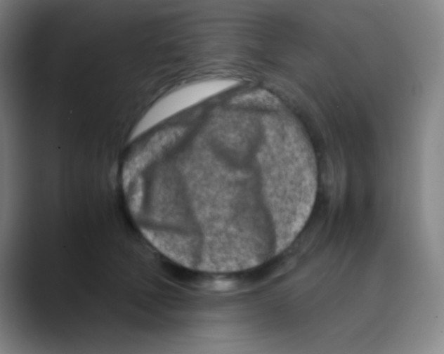 X0000088720610200706282105