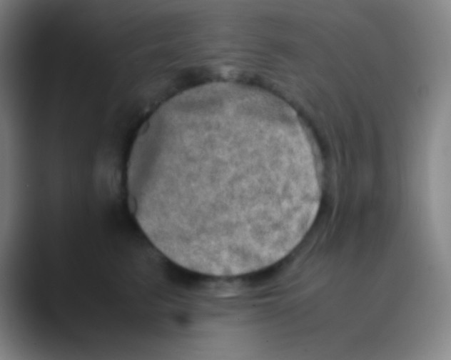 X0000088720615200706282105