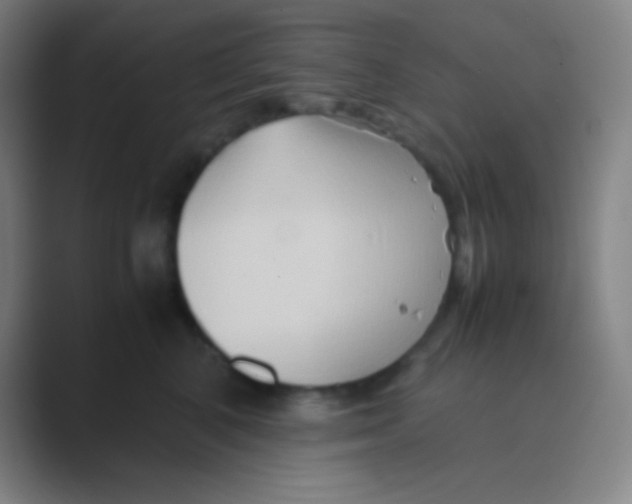 X0000088720616200706282105