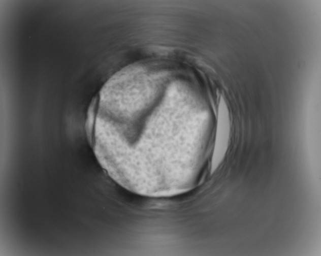 X0000088720617200706282105