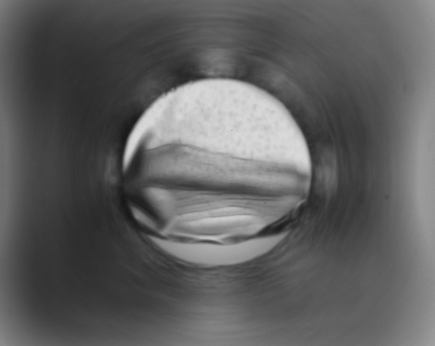 X0000088720620200706282105