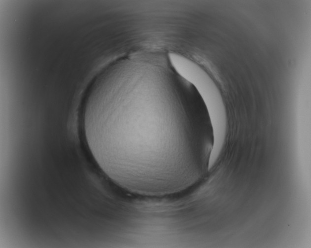 X0000088720626200706282104