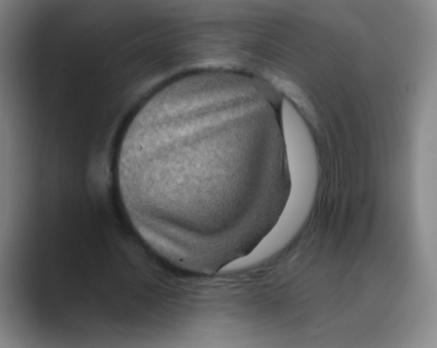 X0000088720628200706282104