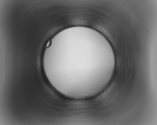 X0000088720629200706282104