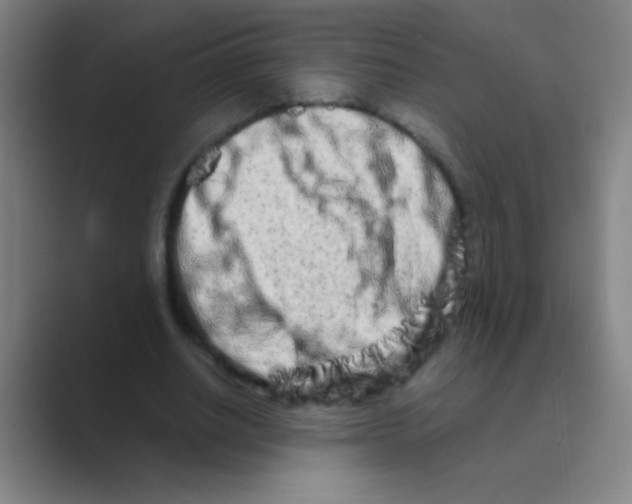 X0000088720630200706282104