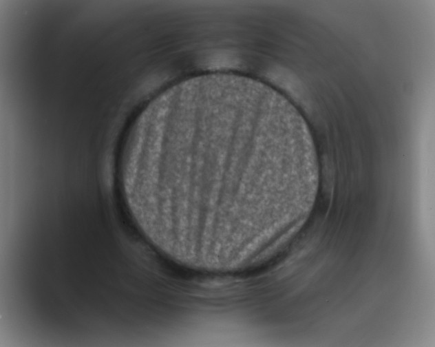 X0000088720631200706282104