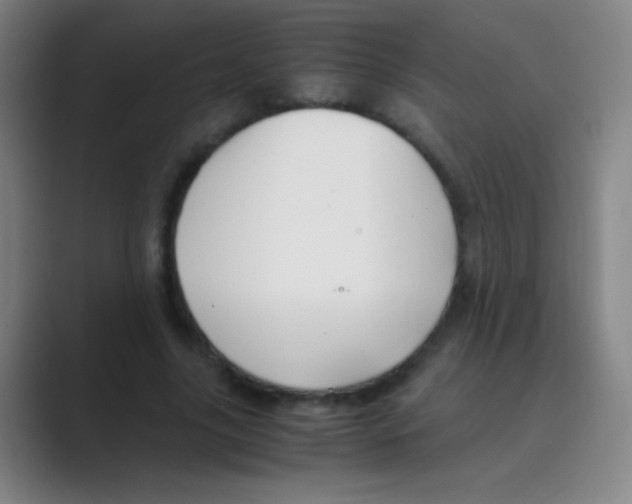 X0000088720635200706282104