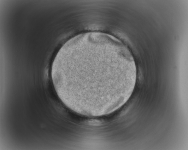 X0000088720636200706282104